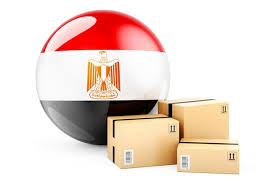 Home egypt delivery icon